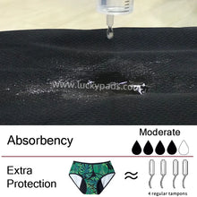 Load image into Gallery viewer, 3-Pair Absorbent Period and Bladder Leak Underwear - Brief - Moderate Flow