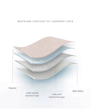 Load image into Gallery viewer, 3-Pair Absorbent Period and Bladder Leak Underwear - Thong - Light/Moderate Flow