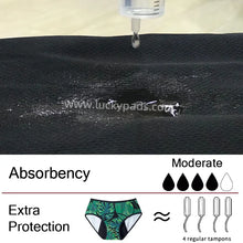 Load image into Gallery viewer, 3-Pair Absorbent Period and Bladder Leak Underwear - Brief - Moderate Flow
