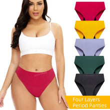 Load image into Gallery viewer, 3-pair Seamless Absorbent Period and Bladder Leak Underwear - Brief - Moderate Flow

