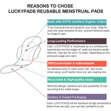 Load image into Gallery viewer, 3-piece 185mm Graphene Pantyliners
